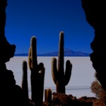 El Salar desde la isla de Incahuasi