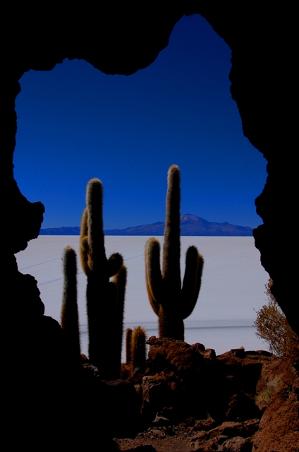 El Salar desde la isla de Incahuasi