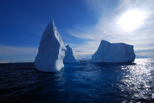 Iceberg