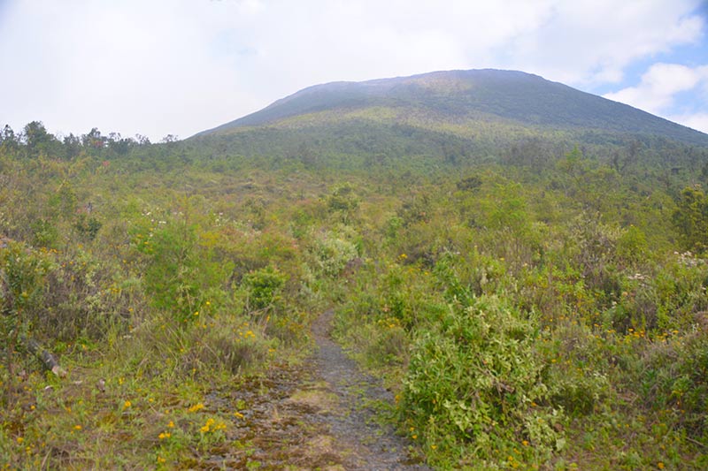La ascensión desde que sales del bosque y arriba, la cima del volcán