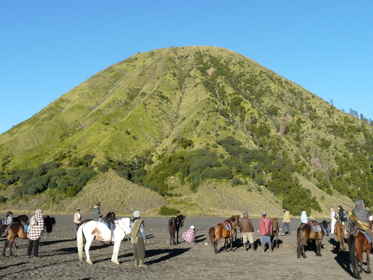 Donde nos esperan los caballos