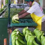 Qué ver en Ecuador