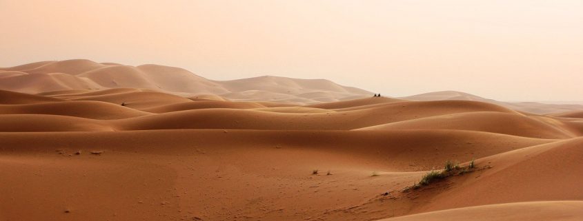 desiertos del mundo