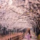 Dónde viajar en primavera