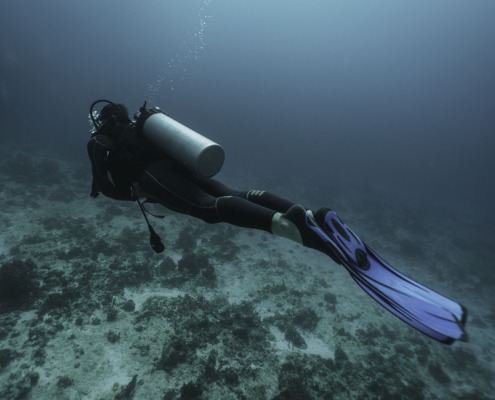 viajes de buceo