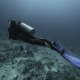 viajes de buceo
