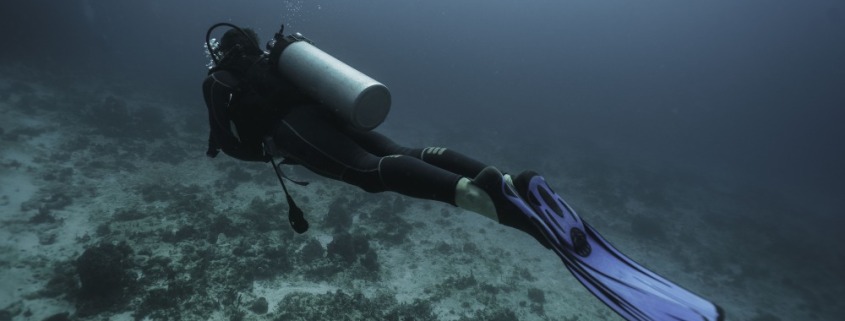viajes de buceo