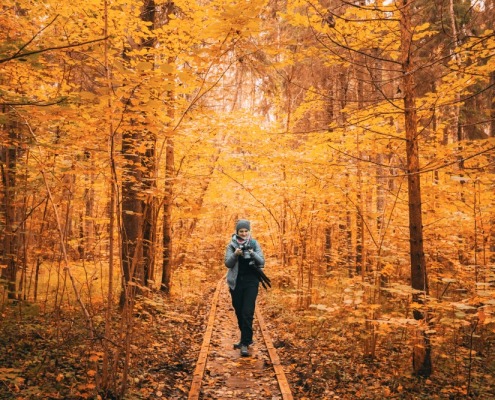 viajar en otoño