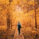 viajar en otoño