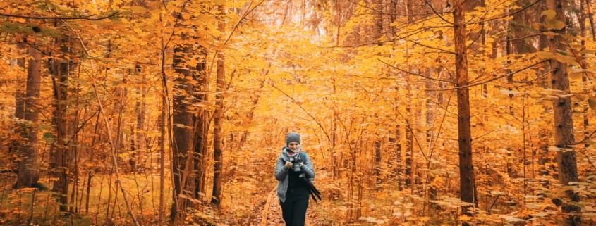 viajar en otoño