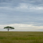 mejores países de África para visitar