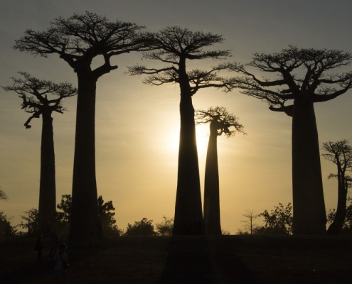 viajar a Madagascar