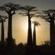 viajar a Madagascar