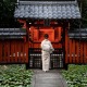 Mejor época para viajar a Japón