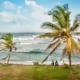 qué ver en sri lanka