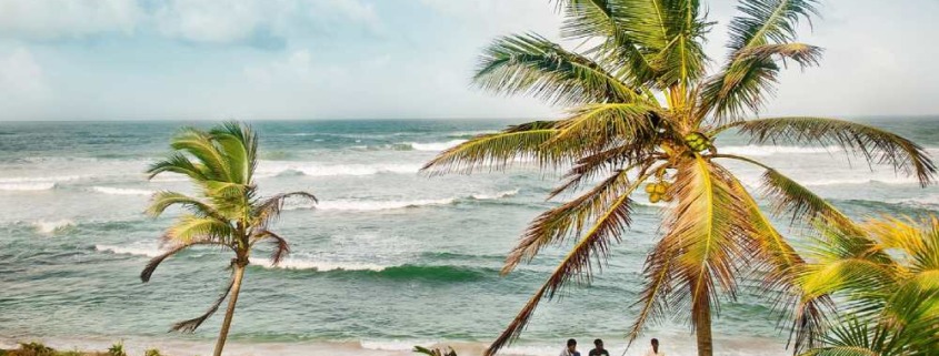 qué ver en sri lanka