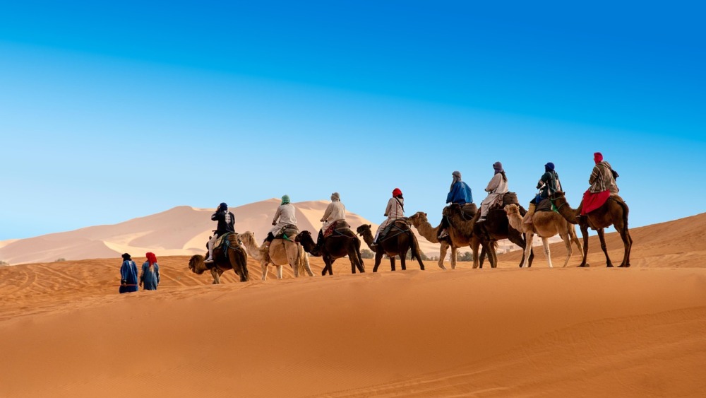 Dromedarios llevando personas por el desierto en fila