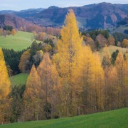 viajes fotográficos en otoño