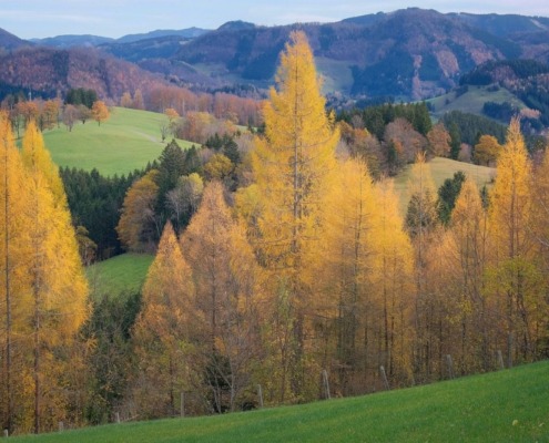 viajes fotográficos en otoño