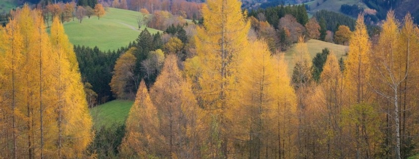 viajes fotográficos en otoño