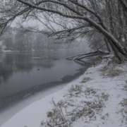 viajes de año nuevo