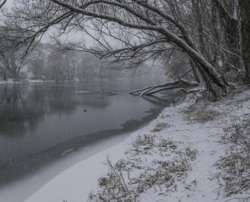viajes de año nuevo