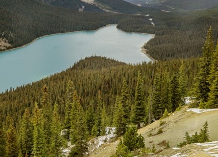 Viaje a las rocosas canadiendes
