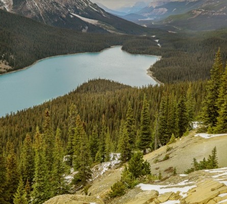 Viaje a las rocosas canadiendes