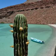 Viaje a Baja California