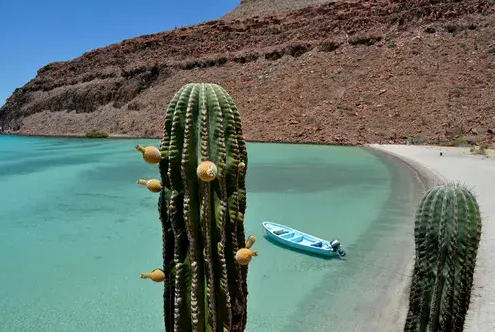 Viaje a Baja California