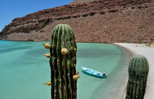 Viaje a Baja California