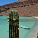 Viaje a Baja California