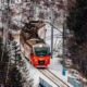 viajar en el transiberiano