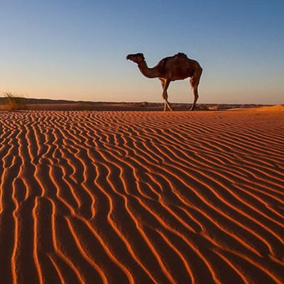 Viaje de aventura a Explorando el Sahara