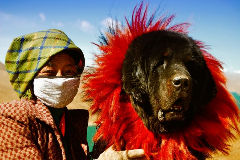 Foto de Ruta por De Pekín, cruzando Tibet hasta Katmandú mujer tibetana con perro