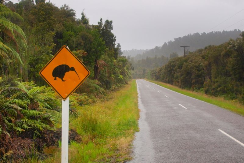 Foto de Ruta por Descubriendo las antípodas 6