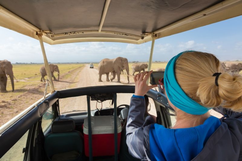 Foto de Ruta por El lado salvaje de África disfrutando de los parques