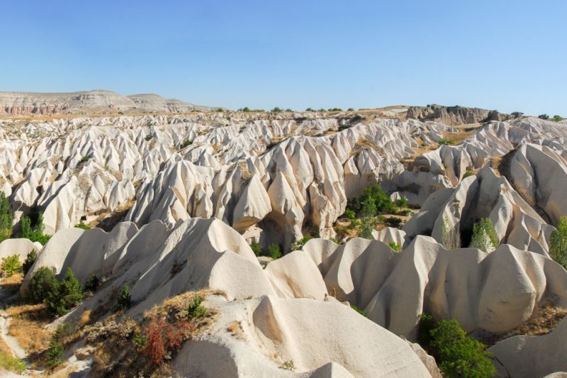 Foto de Ruta por El Reino de Anatolia antiguo efeso