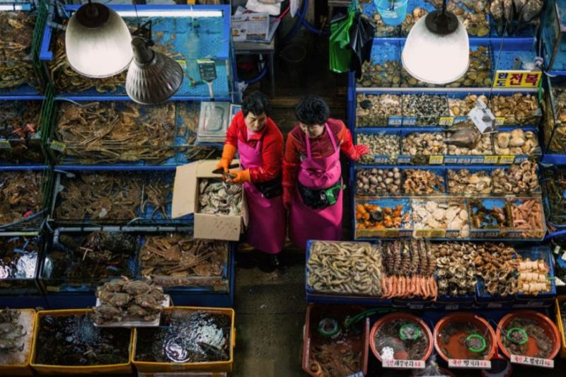 Foto de Ruta por El rincón desconocido de Asia Vendedoras de pescado