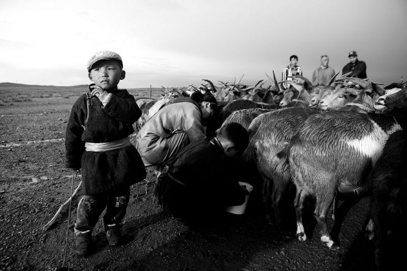 Foto de Ruta por El Transiberiano, desde San Petersburgo hasta Pekín niño