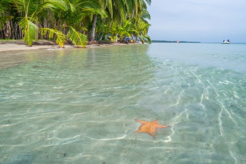 Foto de Ruta por Estallido Natural Playa de estrellas de mar de Bocas de Toro
