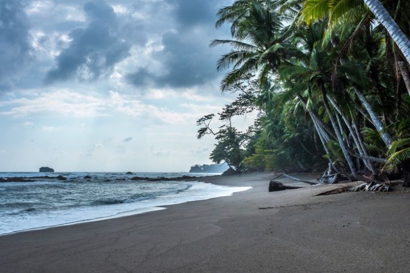 Foto de Ruta por Estallido Natural Playa tropical tras tormenta