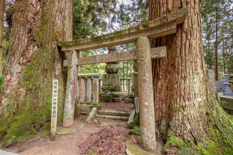 Foto de Ruta por Japón a tus pies Mount Koya