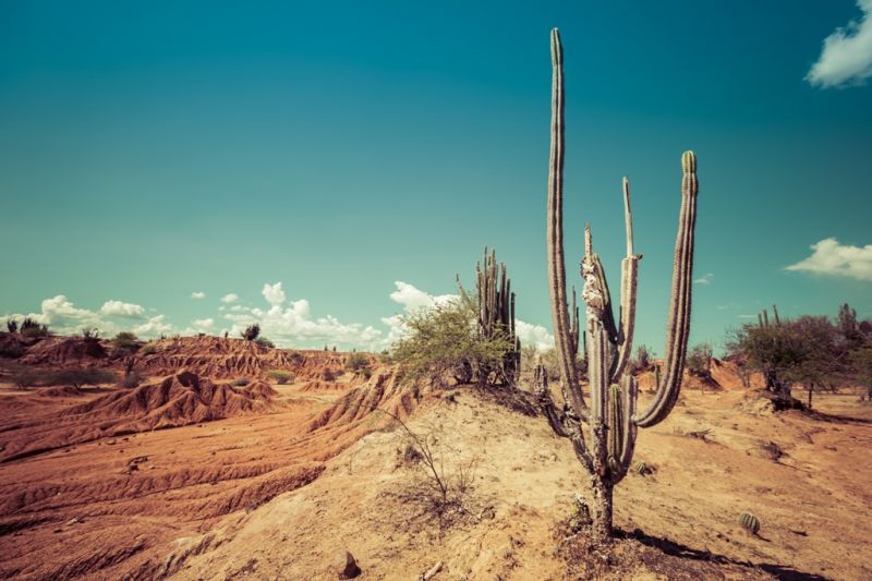 Foto de Ruta por La atracción de Sudamérica Desierto de la Tatacoa