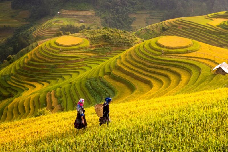 Foto de Ruta por La eterna sonrisa Terrazas de arroz en el norte de Vietnam