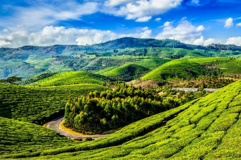 Foto de Ruta por La India menos conocida Kerala y sus paisajes