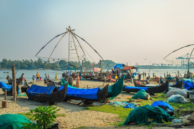 Foto de Ruta por La India menos conocida Mercado de pescado