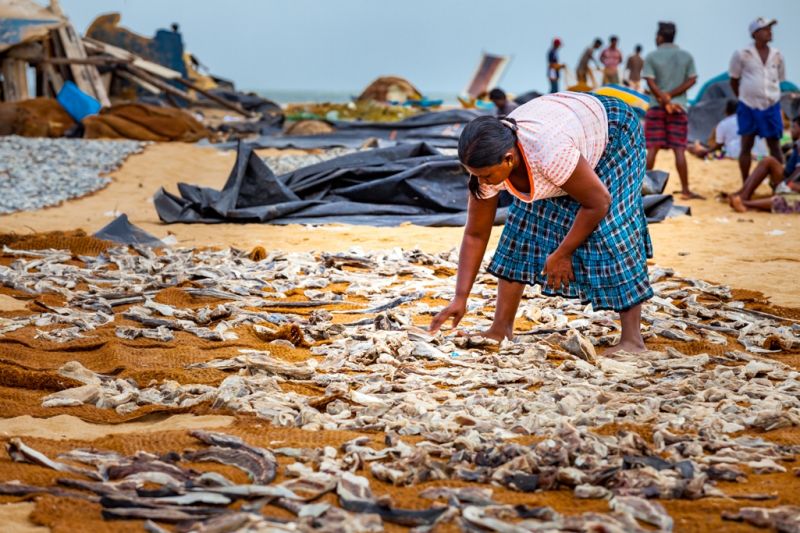 Foto de Ruta por Las joyas del Indico tareas rurales