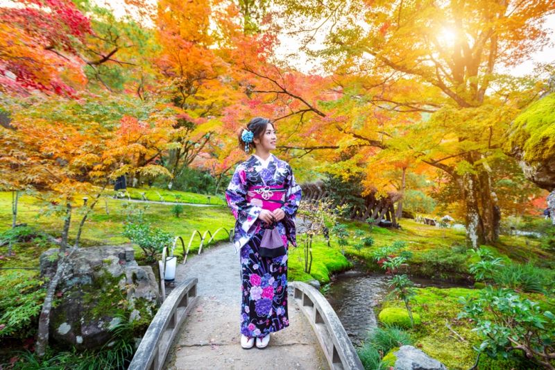 Foto de Ruta por Los colores de Japón
