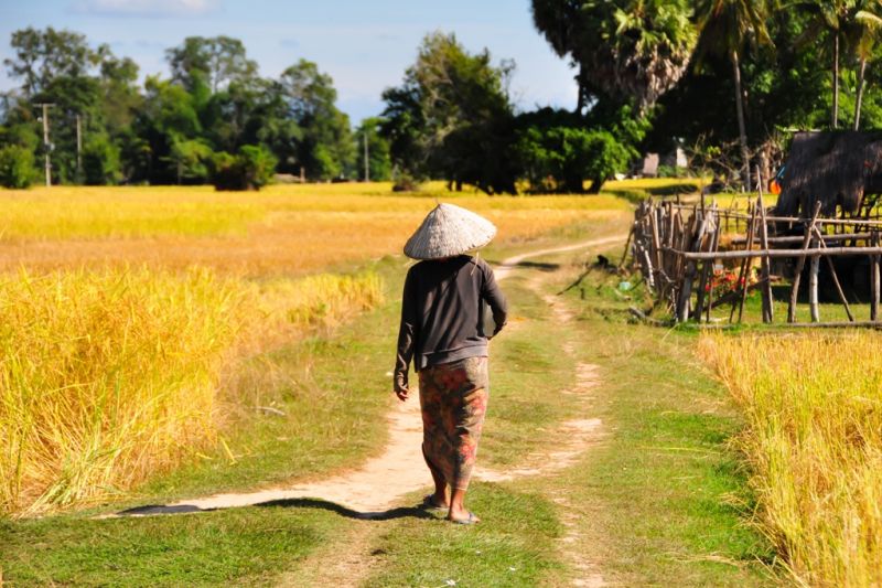 Foto de Ruta por Los dioses de Angkor Campesino